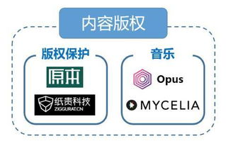 2025年，区块链如何重塑版权保护的未来？
