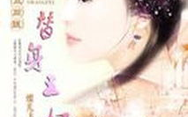 替身王妃100集免费看-观看渠道解析与剧情介绍