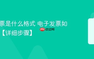 电子发票是什么格式 电子发票如何报销【详细步骤】