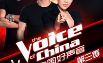 中国好声音第三季完整版免费观看指南-合法途径与节目亮点