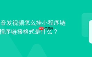 pc端抖音发视频怎么挂小程序链接？小程序链接格式是什么？