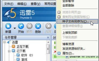 迅雷种子天堂bt下载攻略与版权合规解析