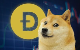 Imtoken没有狗狗币的原因及影响 - 深入分析