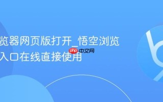 悟空浏览器网页版打开_悟空浏览器官方入口在线直接使用