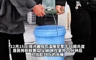 黑龙江冬天万物皆可速冻：黄瓜室外放20分钟能抬34斤水