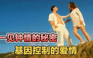 一见钟情：揭开初次见面的神秘吸引力-心理机制与现实解读