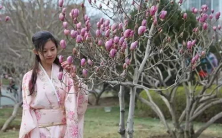 春天里的浪漫,七仙女思春故事解析-寻找爱情的方法