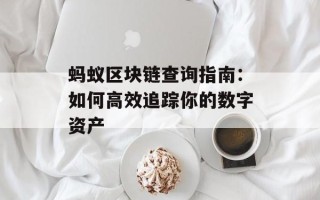 蚂蚁区块链查询指南：如何高效追踪你的数字资产