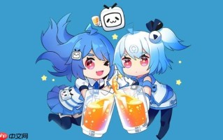 哔哩哔哩正版官网 B站网页版直接登录