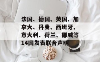 法国、德国、英国、加拿大、丹麦、西班牙、意大利、荷兰、挪威等14国发表联合声明