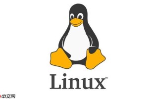 Linux进程假死怎么判断_状态分析与处理方法【教程】