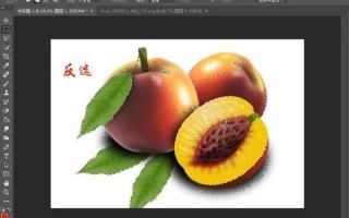 ClipStudioPaint图层蒙版怎么用_ClipStudioPaint图层蒙版使用方法