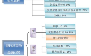 上海复星高科技(集团)有限公司,多元化战略-企业成功之道解析