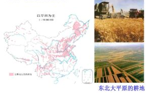 大地资源视频在线观看-探索无限的自然宝藏