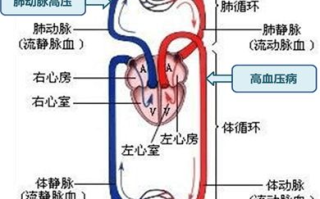 打造热情迷唇，唇妆技巧与产品选择解析