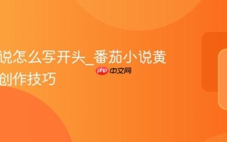 番茄小说怎么写开头_番茄小说黄金三章创作技巧