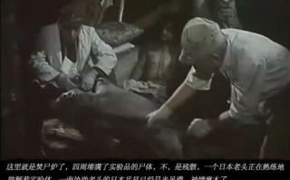 黑太阳731: 揭秘侵华日军细菌战罪行-历史真相探究