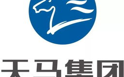 天马科技,引领创新技术-行业领先企业解析