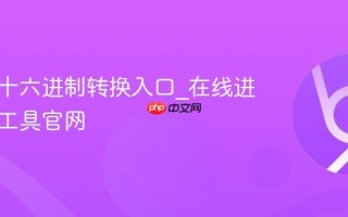 二进制十六进制转换入口_在线进制互转工具官网
