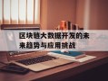 区块链大数据开发的未来趋势与应用挑战
