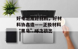 好电池用好材料，好材料协鑫造——正极材料“黑马”呼之欲出