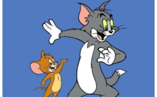 猫和老鼠全集, 经典动画盛宴-完整剧集收录解析