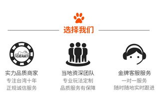 电影排行榜解析，如何根据榜单选择心仪影片-观众指南