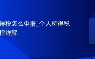 个人所得税怎么申报_个人所得税申报流程详解