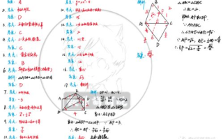 脚上起小水泡还很痒,原因与对策解析