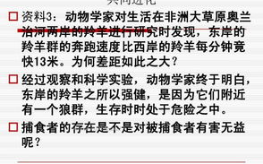 深度解析“秘密授课”背后的教育理念-探索个性化学习的奥秘