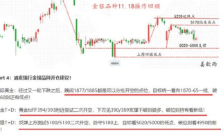 金银投资中的骑蛇难下(双)困境与解决方案解析