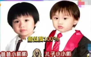 揭秘刘美含：从童星到实力派，她的成长之路