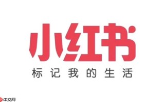 小红书网页版无需下载 小红书电脑在线版网址