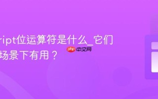 javascript位运算符是什么_它们在什么场景下有用？