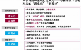 两人合作制作AJ视频教程，高效学习与分享技巧