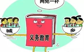 女性职场发展，平等机会与职业规划的关键策略