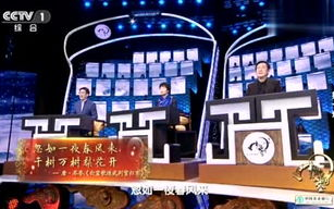 飞飞影视：2025年在线观影新体验，如何引领行业变革？