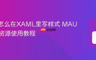 MAUI怎么在XAML里写样式 MAUI Style资源使用教程