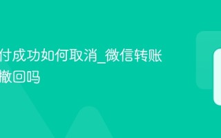 微信支付成功如何取消_微信转账成功能撤回吗