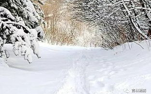 葬雪无痕,艺术与自然的完美融合-SEO优化策略解析