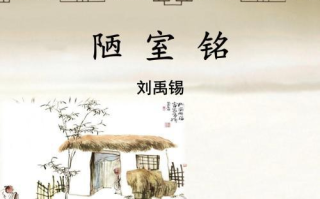 春风十里不如你,探寻经典诗句的深层意境-下一句解析