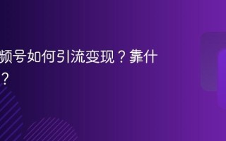 个人视频号如何引流变现？靠什么盈利？