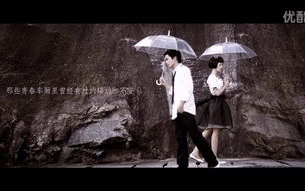 青春失乐园,青少年成长困境-破解迷茫之道