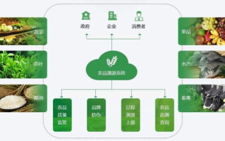 农产品区块链溯源：未来农业的透明化之路
