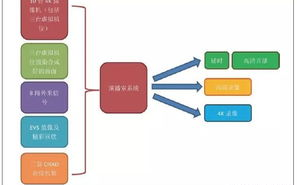 中央电视台一套节目直播,制作幕后与特色亮点解析