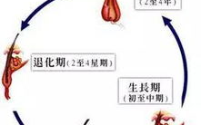 头发护理,专业技巧解析-打造动人秀发解决方案
