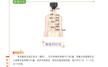 身体一半软调理方法-全面健康改善指南