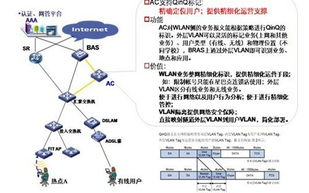 第九中文网,优势分析-电子书阅读平台使用指南