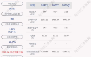 闻泰科技股票,投资价值与市场前景分析-投资者决策指南