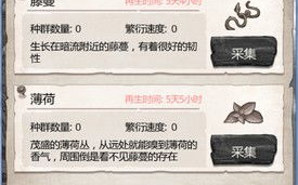 荒岛求生,生存技能与心理准备-挑战极限的全方位解析